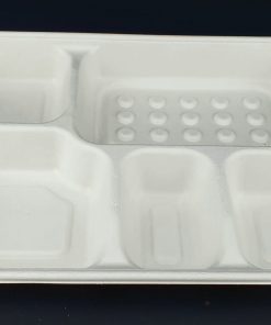 bagasse food container 5 compartment